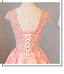 Blush Pink A Line Cap Sleeves Appliques Beaded Long Prom Dresses INJ85