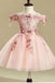 Pink Embroidery Flower Girl Dresses,Tulle Short Girl Dresses INJ25