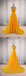 Yellow A Line V Neck Criss Cross Back Chiffon Long Prom Dress INB58