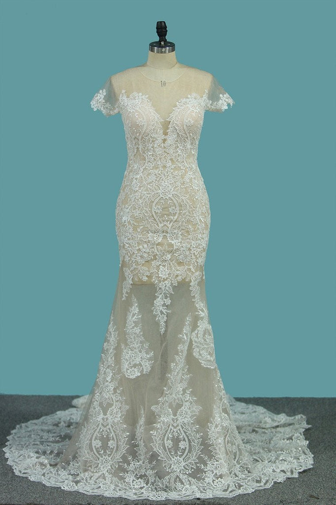 Scoop Short Sleeve Mermaid Tulle Lace Applique Wedding Dresses INE76