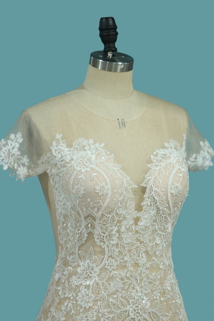 Scoop Short Sleeve Mermaid Tulle Lace Applique Wedding Dresses INE76
