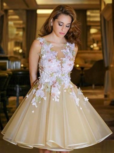 A-Line Scoop Backless Short Sleeveless Organza Homecoming Dress with Appliques IN228