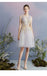 Elegant A Line Tulle Short Homecoming Dresses With Gold Appliques INC53
