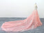 A-line V Neck Pink Tulle Lace Appliques Cathedral Train Formal Prom Dresses INS2