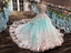 Princess Ball Gown Flower Appliques Prom Dress,Quinceanera Dresses INE65